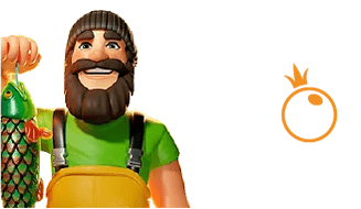 pragmatic